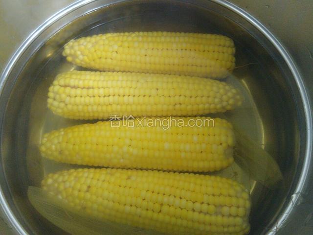 新鲜玉米放锅里