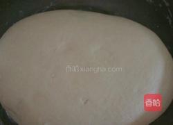 自己动手做肉包子的做法图解3