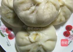 自己动手做肉包子的做法图解8