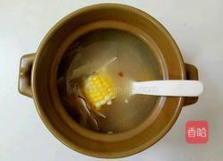 海底椰润肺躺的做法图解5