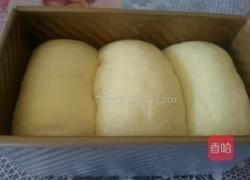 葡萄干吐司的做法图解11