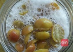 鲜葡萄天然酵母的做法图解6