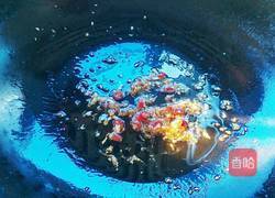 清蒸冬瓜的做法图解4