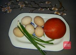 西红柿鸡蛋卷的做法图解1