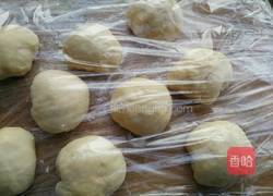 椰蓉奶香排包的做法图解4