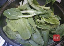 白灼青菜的做法图解3