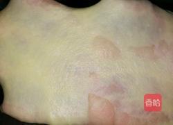 酸奶面包的做法图解3