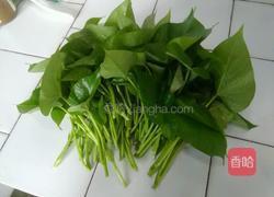 炒番薯叶的做法图解1