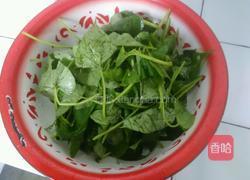 炒番薯叶的做法图解2