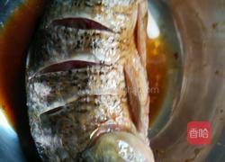 烤鲤鱼的做法图解2