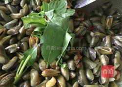 海瓜子的做法图解5