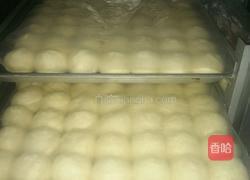 香芋奶酪包的做法图解9