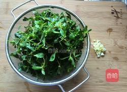 蒜蓉拌马齿苋的做法图解1