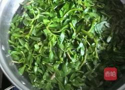 蒜蓉拌马齿苋的做法图解3