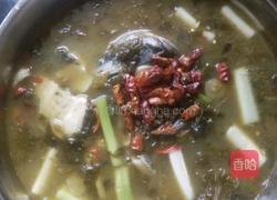 酸菜鱼的做法图解6