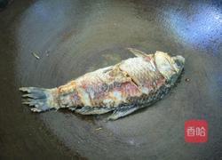 鲫鱼萝卜汤的做法图解5