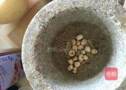 川贝冰糖炖雪梨的做法图解1