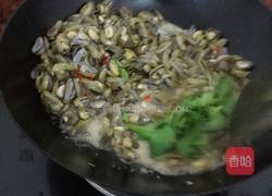 炒薄壳的做法图解4