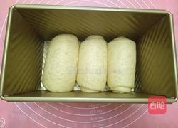 全麦牛奶吐司的做法图解11