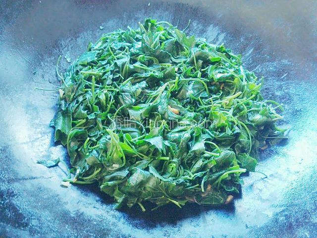 炒至断生加盐和味精拌匀即可关火出锅。