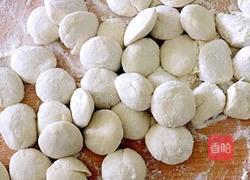 《西瓜皮猪肉饺子》的做法图解18