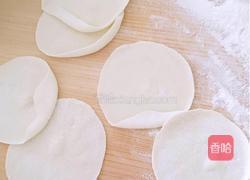 《西瓜皮猪肉饺子》的做法图解19