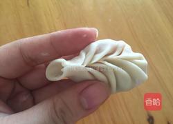 蒸饺包法的做法图解9
