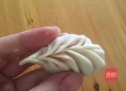 蒸饺包法的做法图解10