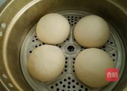 蒸馒头的做法图解7