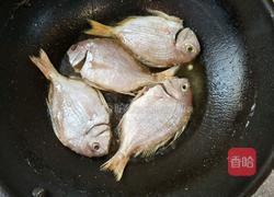 干煎红蜡鱼的做法图解2