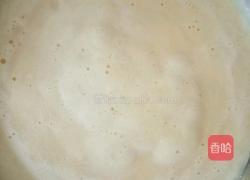 木瓜奶昔的做法图解4