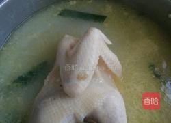 碳锅鸡的做法图解5