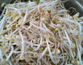 自發(fā)綠豆芽