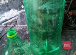 自发绿豆芽的做法图解1