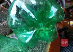 自发绿豆芽的做法图解2