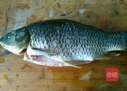 糖醋鲤鱼的做法图解1