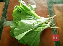 耗油小白菜的做法图解1