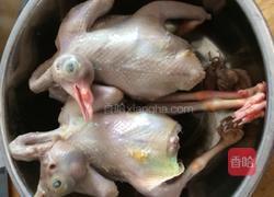 白鸽汤的做法图解1