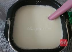 自制酸奶的做法图解2