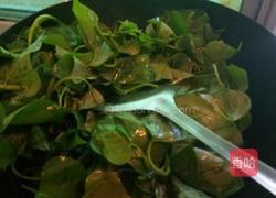 蒜蓉番薯叶的做法图解5