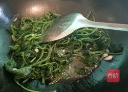 蒜蓉番薯叶的做法图解7