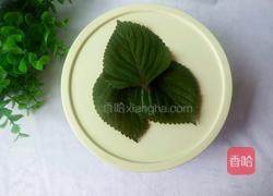 苏子叶咸菜的做法图解12