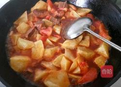 西红柿牛腩炖土豆的做法图解7