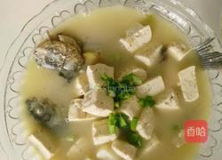 砂锅鲫鱼豆腐的做法图解8