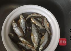 爆炒小鱼干的做法图解1