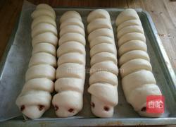 毛毛虫面包的做法图解16