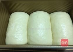 原味吐司的做法图解7