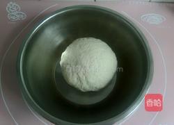 小瓜猪肉水饺的做法图解2