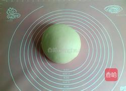 小瓜猪肉水饺的做法图解8