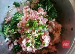 菜肉大馄饨的做法图解3